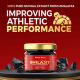 Gilgat Mountain Shilajit