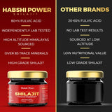 Gilgat Mountain Shilajit