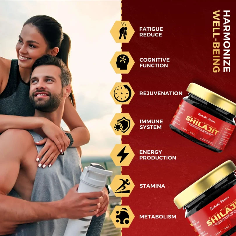 Gilgat Mountain Shilajit