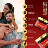 Gilgat Mountain Shilajit
