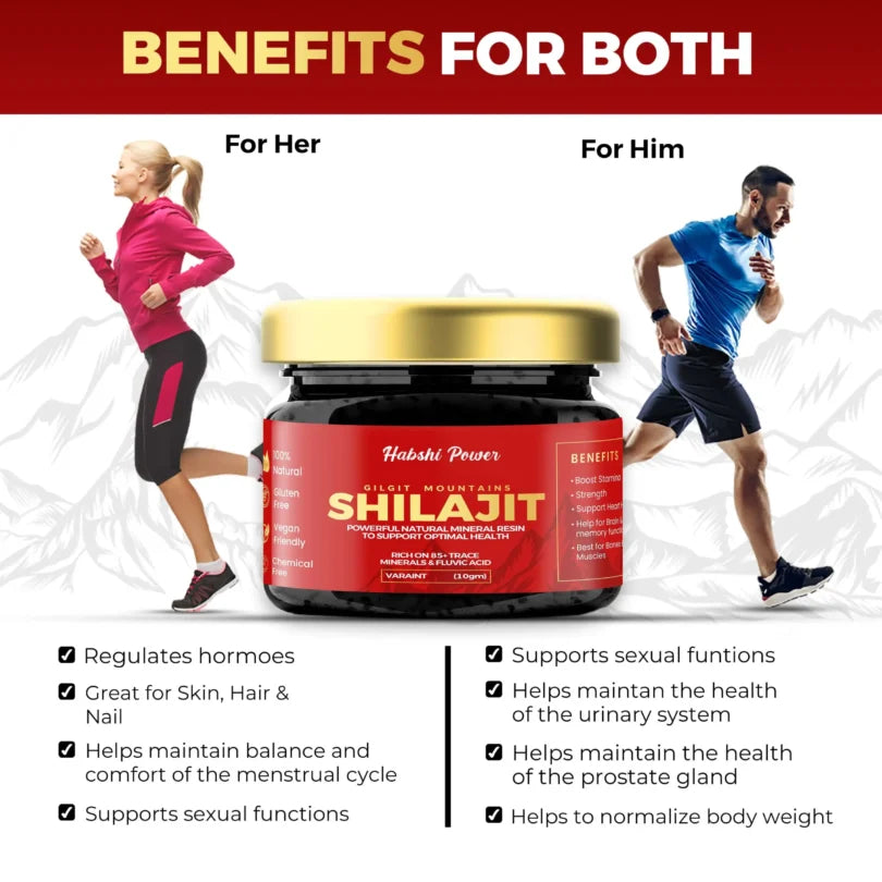Gilgat Mountain Shilajit